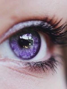 # Eye Honey Shop, Sterling Grey, Eyes Color, Violet Eyes, Daily Beauty Routine, Aesthetic Eyes, Stunning Eyes