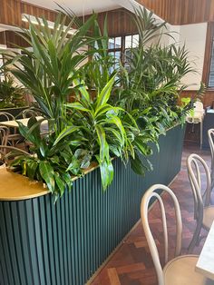 there are many plants in the planter on the wall next to the tables and chairs