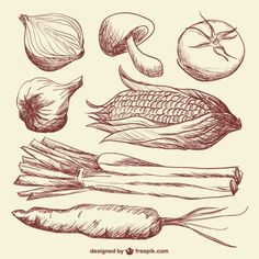 hand drawn vegetables set in vintage style