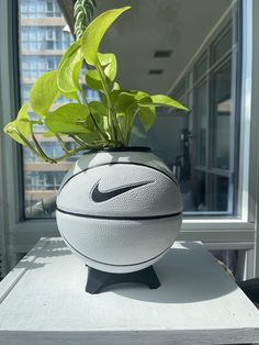 a white basketball sitting on top of a wooden table next to a plant in a vase