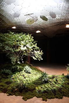 a room filled with lots of green plants and dirt on the floor next to a tree