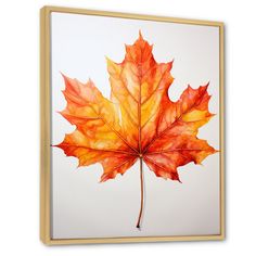 an orange maple leaf on a white background framed canvas print wall art by unknown artist