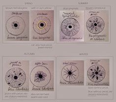 four different types of flowers are shown in this diagram