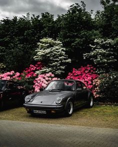 two cars parked next to each other in front of flowers