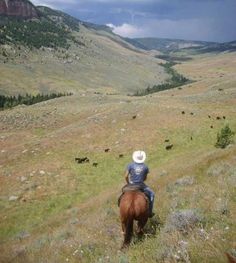 a man riding on the back of a brown horse down a lush green hillside under a cloudy sky