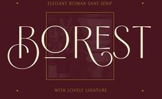 an elegant font that has been used to spell out the word, borest with lovely signature