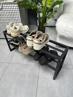 there are many pairs of shoes on a stand in the room next to a potted plant