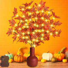 a vase filled with lots of lights sitting next to pumpkins and gourds