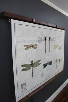 a framed art piece with dragonflies on it