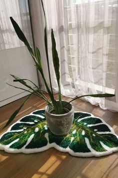 a potted plant sitting on top of a wooden floor next to a curtained window