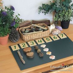 a wooden table topped with lots of different types of plants and rocks on top of it