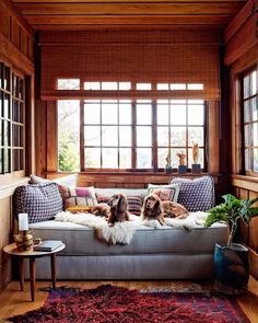 two dogs sitting on a couch in a room with wooden paneled walls and windows