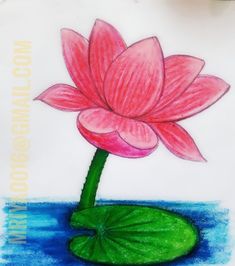 a drawing of a pink flower sitting on top of a green leafy plant in water