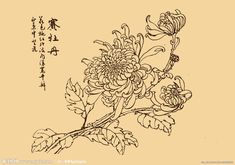 an ink drawing of flowers with chinese writing