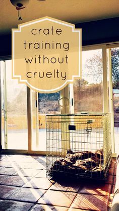 a dog laying on the floor in front of a cage with its tongue hanging out