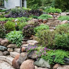 a garden with rocks and plants growing on the side of it in front of a house