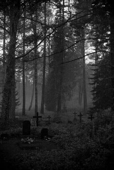 a black and white photo of a cemetery in the woods with fog coming from the trees