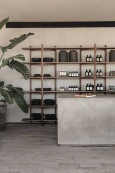 an empty room with shelves and bottles on the wall next to a potted plant