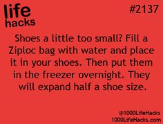 Photo More 1000 Lifehacks, Hack My Life, 1000 Life Hacks, Simple Life Hacks, Diy Life Hacks, I Need To Know, Diy Life, Hamsters, Survival Tips