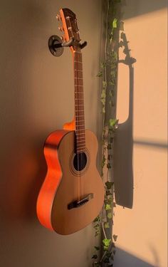 an acoustic guitar hanging on the wall next to a potted plant with green leaves