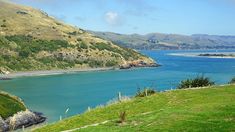 the sheep is grazing on the side of the hill by the water's edge