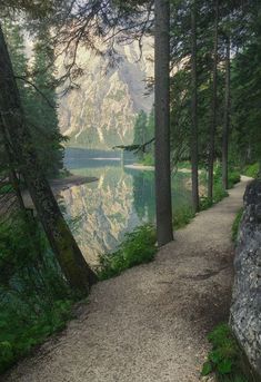 there is a path that leads to the water and trees on both sides of the trail