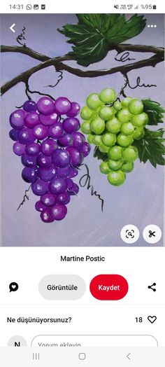 an image of some grapes on a branch with the caption's name below it