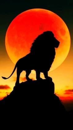 a lion standing on top of a hill in front of a red moon with clouds