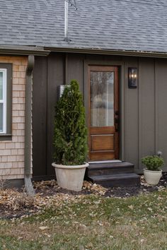 a small house with two potted plants in front of it and a brown door