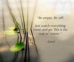 a quote from laozi on water lilies with the caption be empty, be still just watch everything come and go this is the way of nature