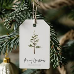 a christmas ornament hanging from a tree with the words merry christmas written on it