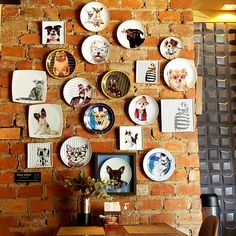 there are many plates on the wall