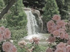 pink roses are in the foreground and a waterfall is in the background, surrounded by trees