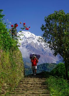 a person walking up some steps with an umbrella over their head and flowers in the background