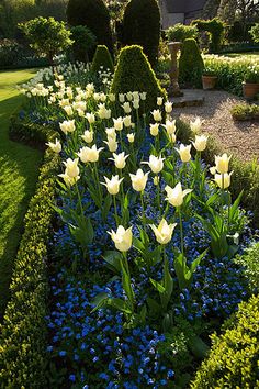 a garden filled with lots of white and blue flowers