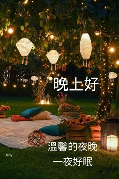 an outdoor area with lights and lanterns on the grass, surrounded by flowers and potted plants