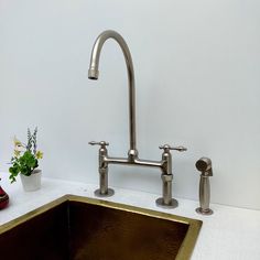 a kitchen sink with two faucets and a potted plant in the corner