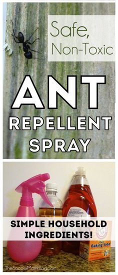 an ant repellent spray is shown with the words, simple household insecticide ingredients