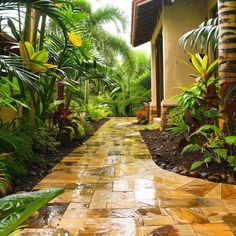 the walkway is lined with tropical plants and trees