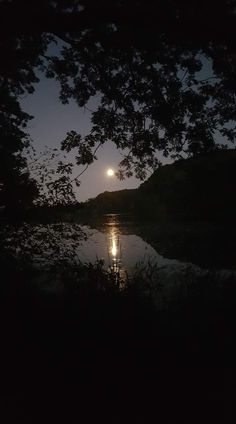 the full moon is seen through some trees over a body of water at night with its reflection in the water