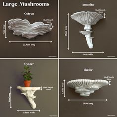 four different types of vases are shown in three pictures, one is white and the other has a green plant