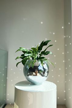 christmas lights Disco Ball Planter, Disco Decorations, Glamour Decor, Dopamine Decor, Pinterest Room Decor, Bedroom Plants, Christmas String Lights, Spark Joy, Apartment Decor Inspiration