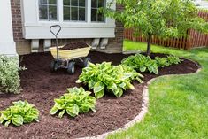 a wheelbarrow is sitting in the middle of a garden