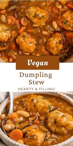 vegan dumpling stew with carrots and beans in a white bowl