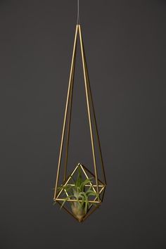 a hanging planter with a succulent in it and a gold geometric frame