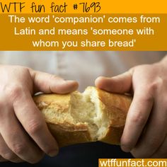 WTF Facts : funny, interesting & weird facts Gluten Foods List, Foods That Contain Gluten, Useless Facts, Gluten Allergy, Breaking Bread, Crazy Facts, Cool Facts, Gluten Intolerance, Eucharist