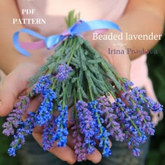 there is a small bunch of lavenders in someone's hands with blue ribbon