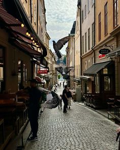 people are walking down an alley way with umbrellas on the sides and one bird flying overhead