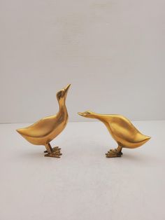 two golden birds sitting next to each other