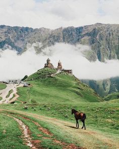 a brown horse standing on top of a lush green field next to a mountain covered in clouds